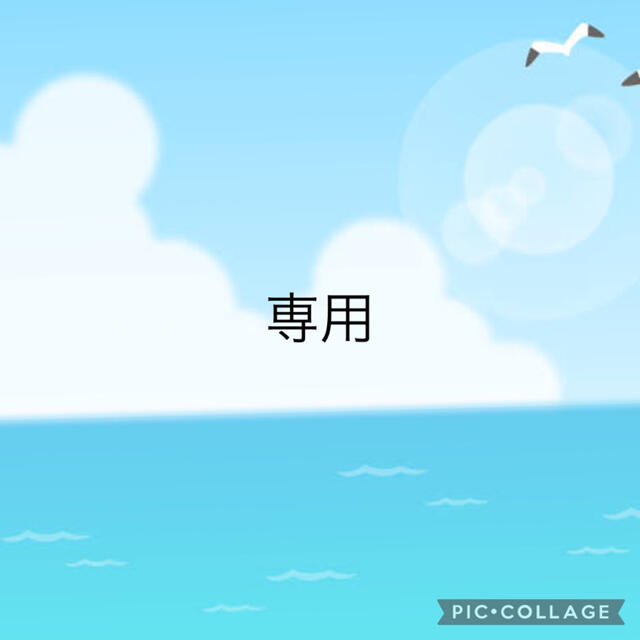 専用　免疫サポート