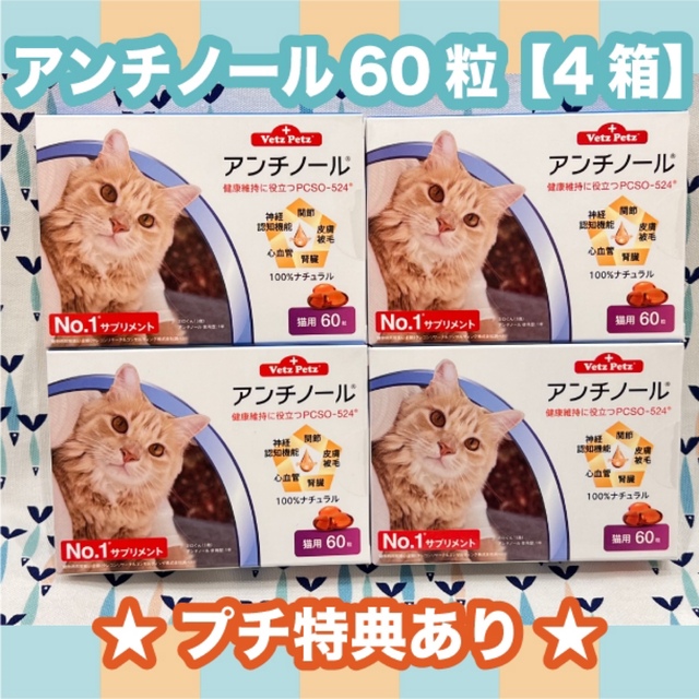 アンチノール 猫用 60粒 2箱〈おまけ付き〉