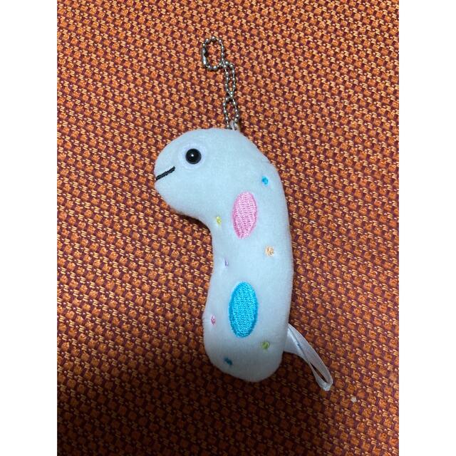 ちんあなご