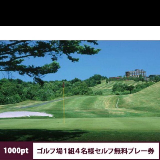 シャトレーゼゴルフセルフプレー券2枚