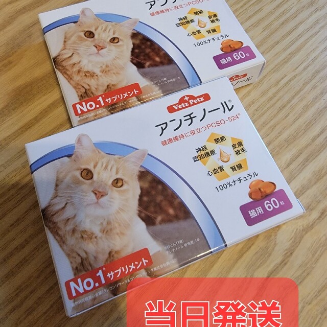 アンチノール 猫用 60粒 2箱〈おまけ付き〉