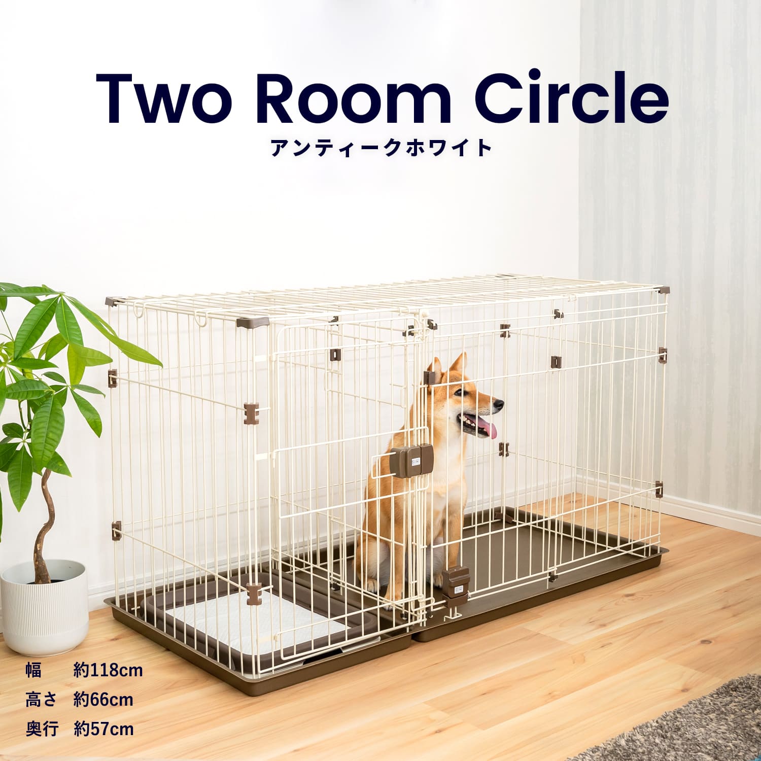 犬　ゲージ　新品未使用
